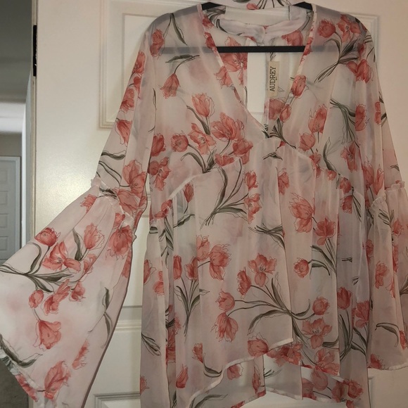 Sheer Blouse - Picture 4 of 4